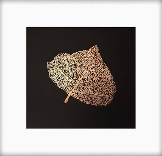 'Skeleton Leaf I' - Copper on Black