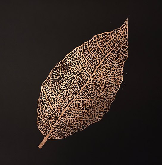 'Skeleton Leaf II' - Copper on Black